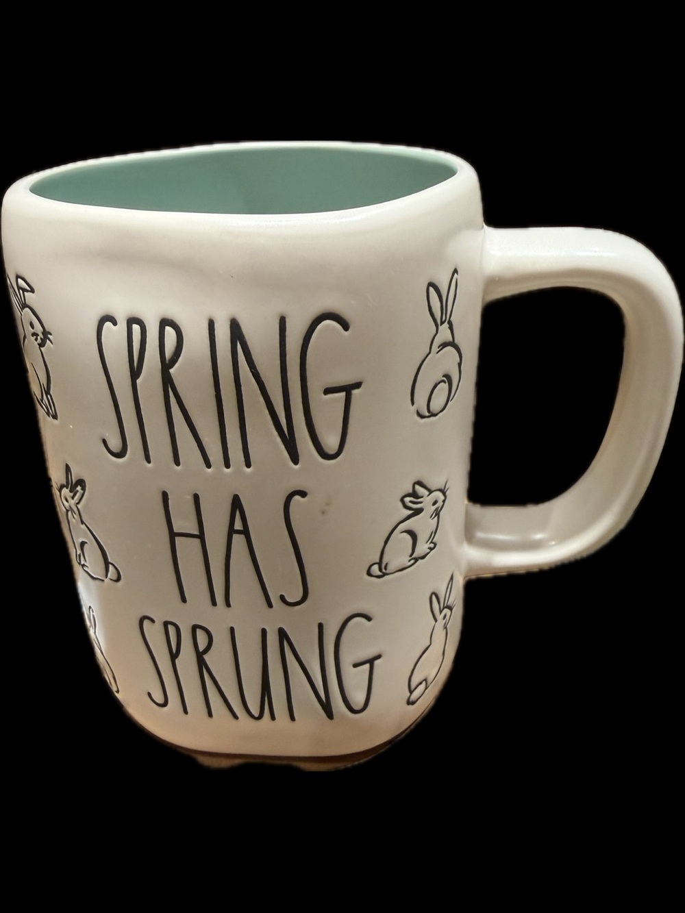 Rae Dunn "Spring Has Sprung" Mug, small With Bunnies And Mint Green Interior.